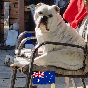 Meet your Posher, Leanne